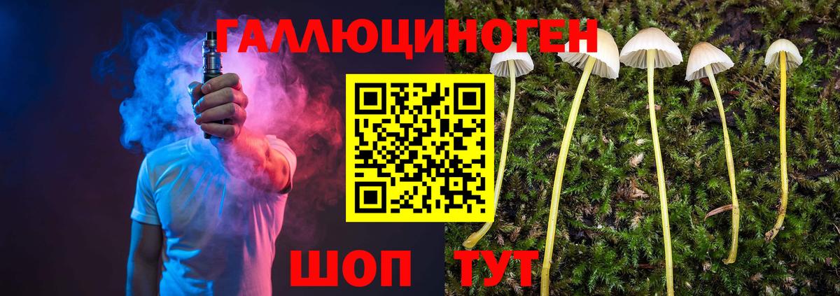 Галлюциногенные грибы Psilocybine cubensis  Вход с VPN  Галлюциногенные грибы GOLDEN TEACHER  Нефтекумск 